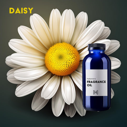 Daisy