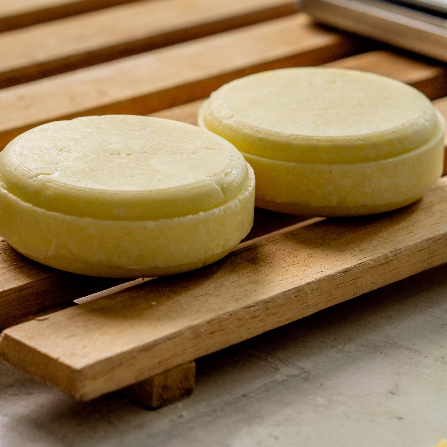 Shampoo and Conditioner Bar Making Workshop |  Habonera Studio
