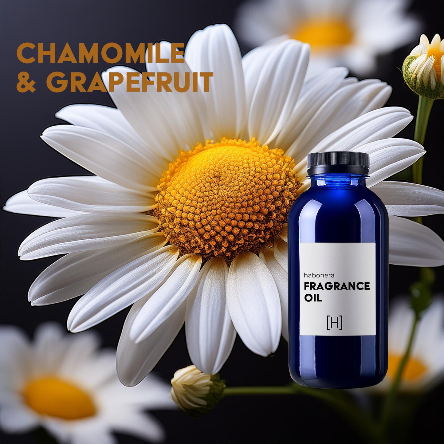 Chamomile & Grapefruit