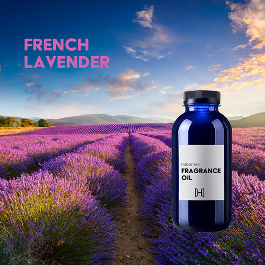 French Lavender
