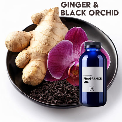 Ginger & Black Orchid