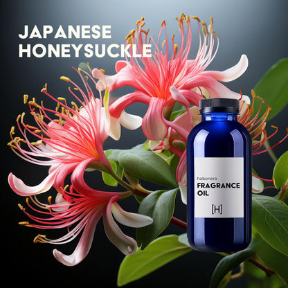 Japanese Honeysuckle