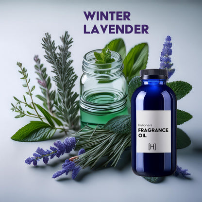 Winter Lavender